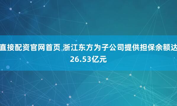 直接配资官网首页 浙江东方为子公司提供担保余额达26.53亿元
