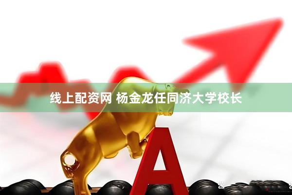 线上配资网 杨金龙任同济大学校长