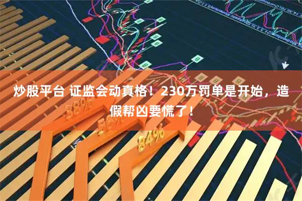 炒股平台 证监会动真格！230万罚单是开始，造假帮凶要慌了！