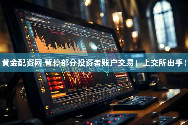 黄金配资网 暂停部分投资者账户交易！上交所出手！