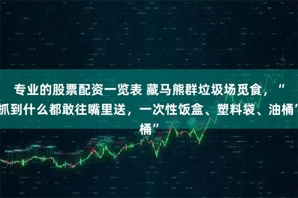 专业的股票配资一览表 藏马熊群垃圾场觅食，“抓到什么都敢往嘴里送，一次性饭盒、塑料袋、油桶”